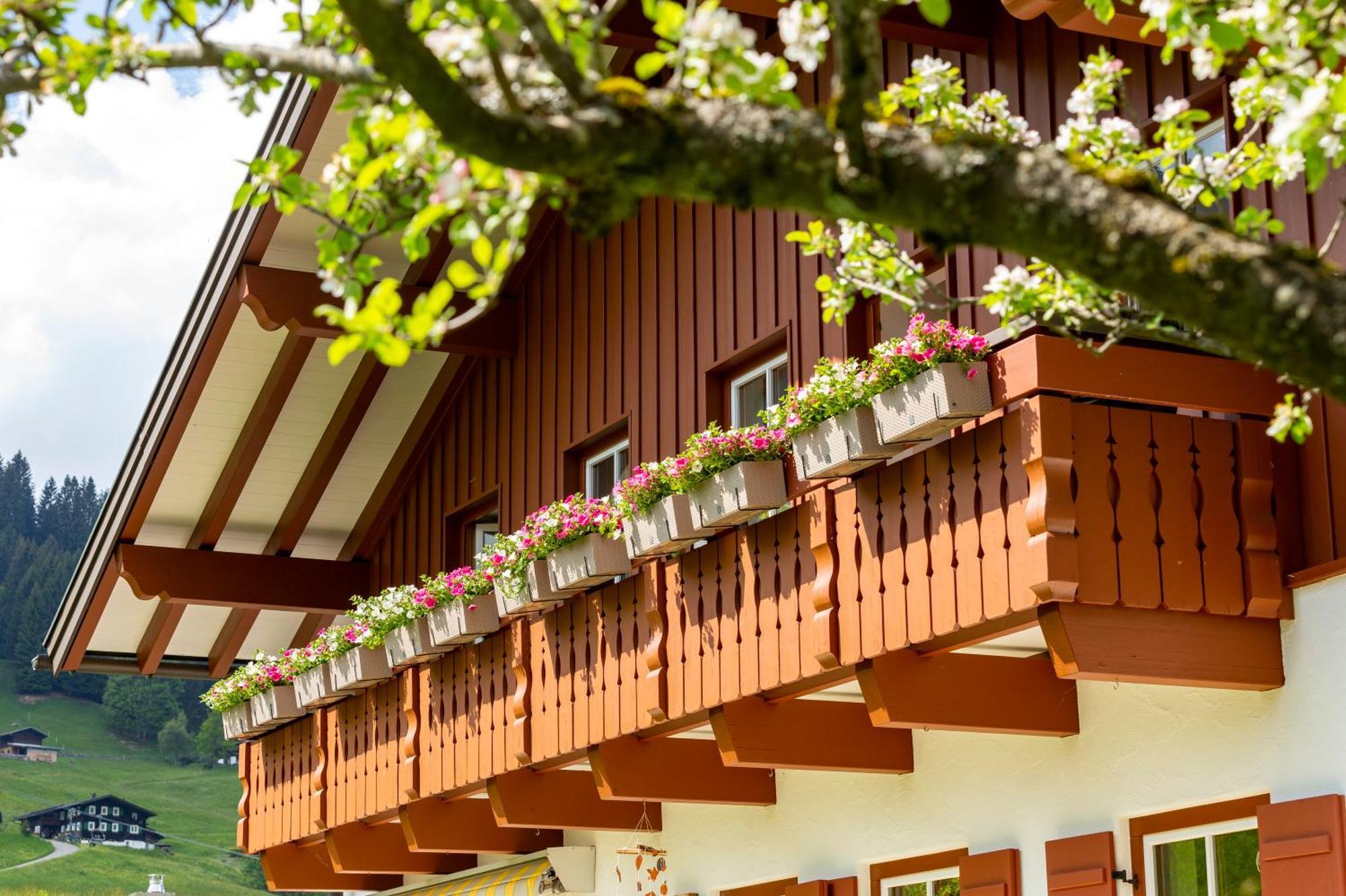 Haus Berg & Tal Apartment Hirschegg  Exterior photo